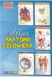 Ilustrowany atlas szkolny.Atlas anatomii człowieka