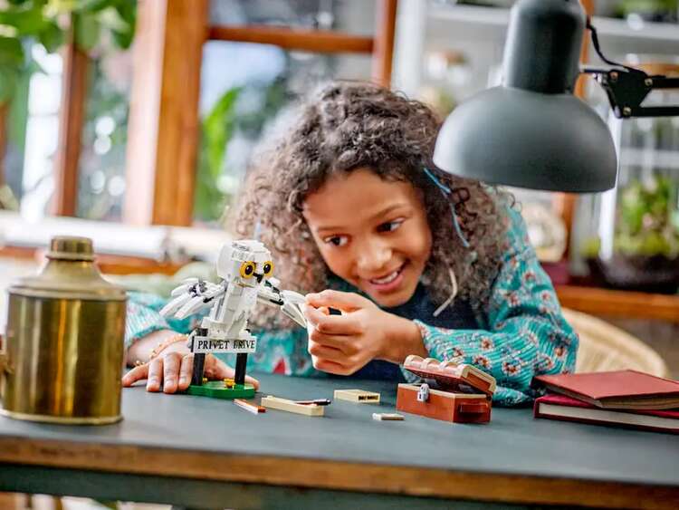 LEGO(R) HARRY POTTER 76425 Hedwiga przy Privet Drive