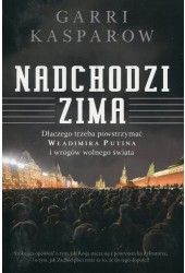 Nadchodzi zima
